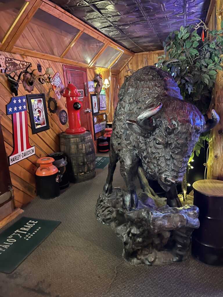 Iron Buffalo Saloon 6 IMG 3532